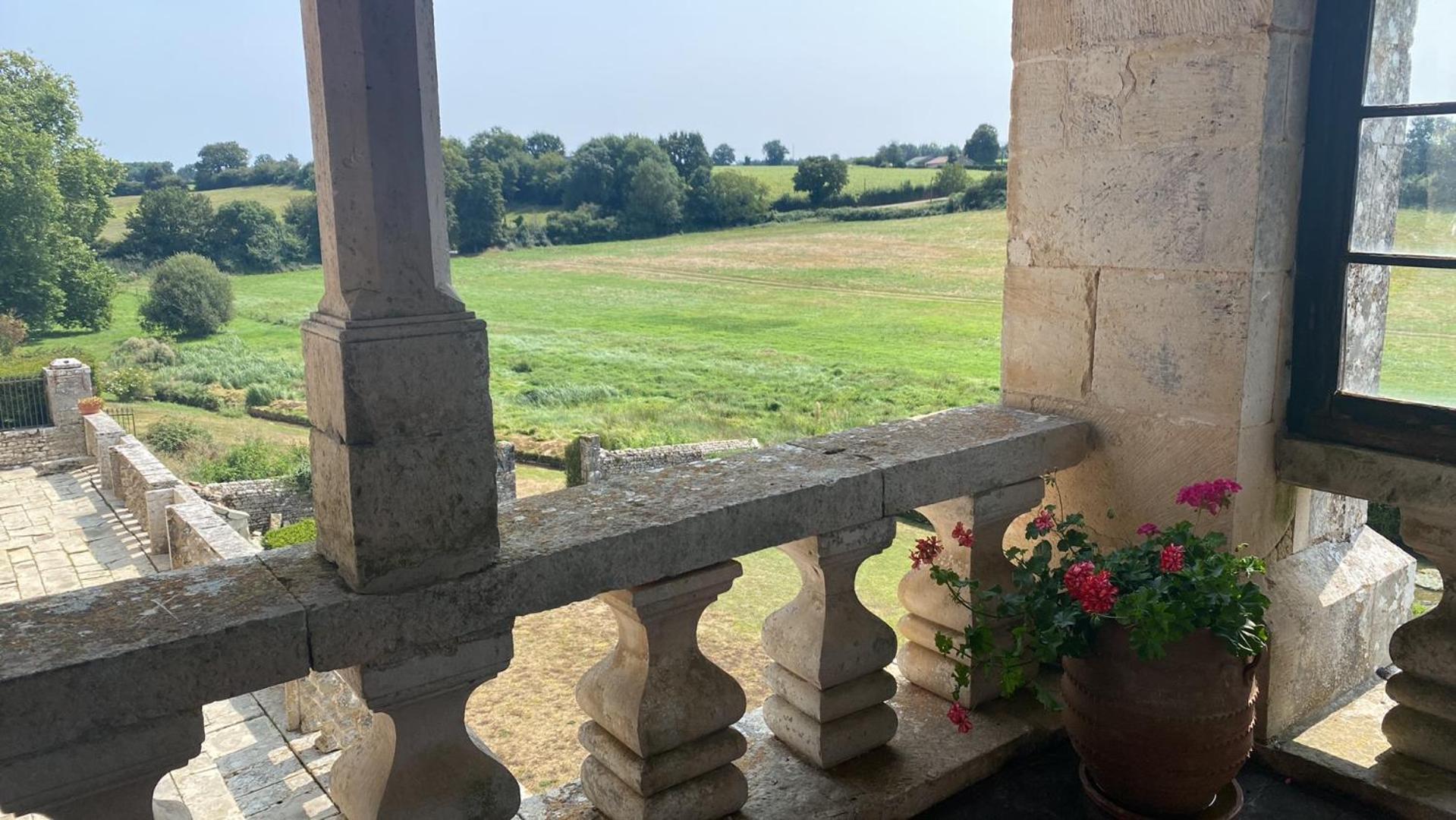 Chateau De Cibioux Surin  Exterior photo