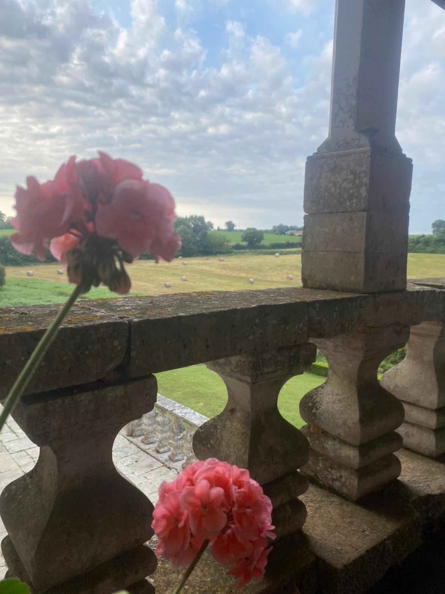 Chateau De Cibioux Surin  Exterior photo